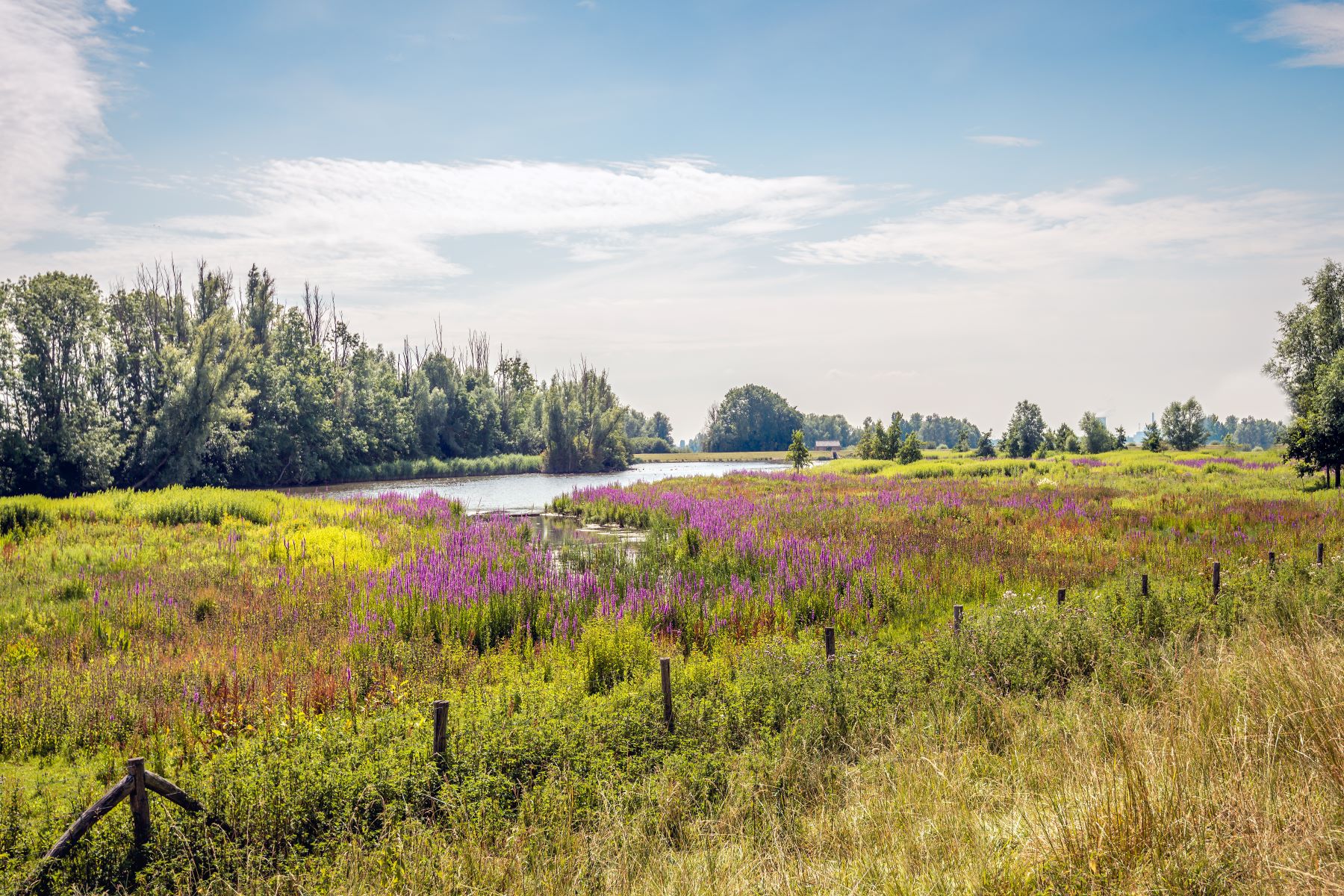 National Policy Nexus - Brabant Outcomes Fund