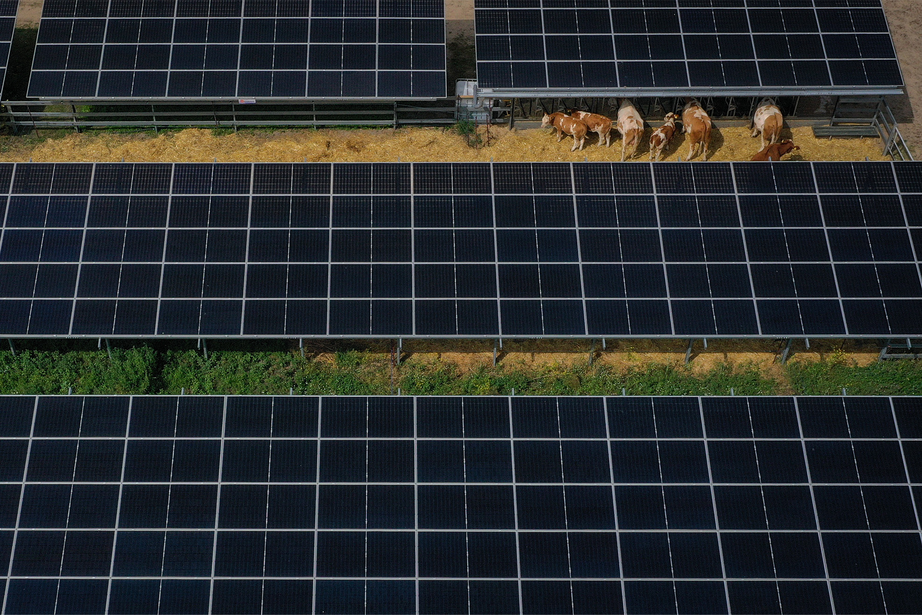 INOKS sustainable food strategy backed by €40 million from EIF