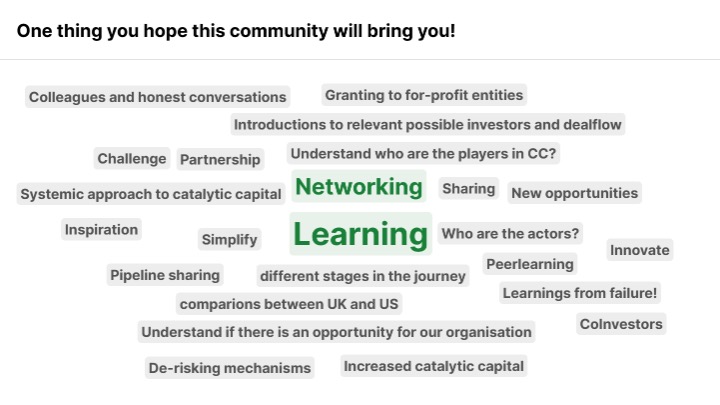 catalytic capital word cloud about community