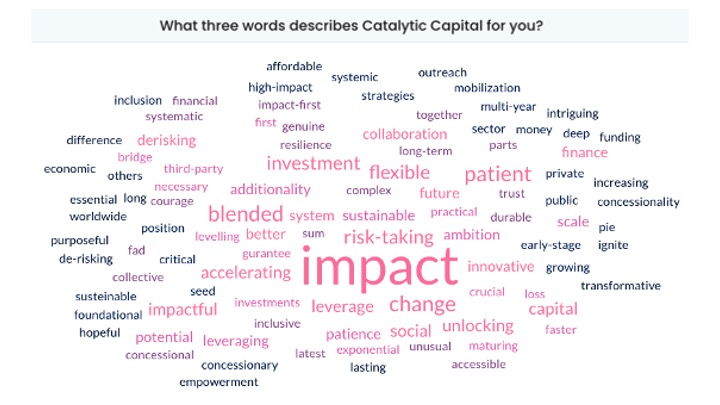 catalytic capital word cloud
