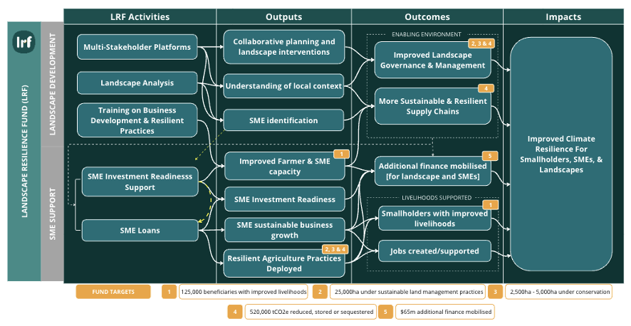 IMM Strategy