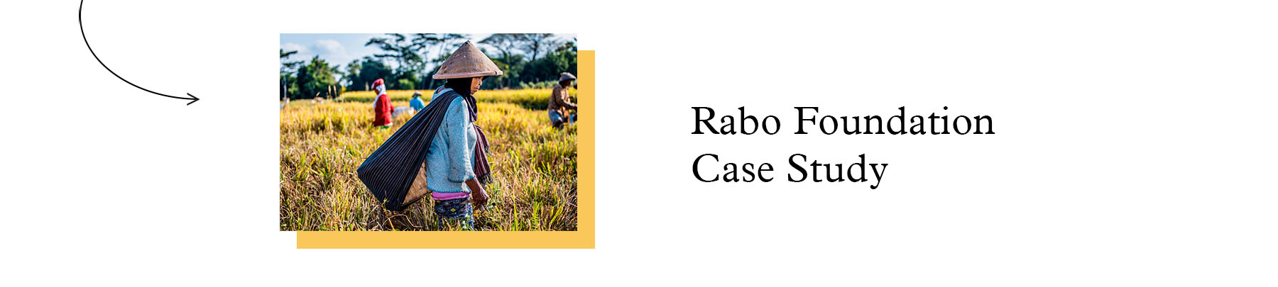 Rabo Foundation Case Study
