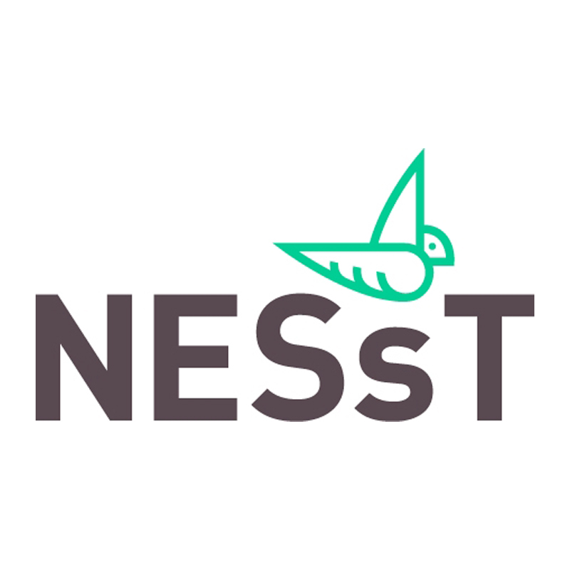 NESsT logo