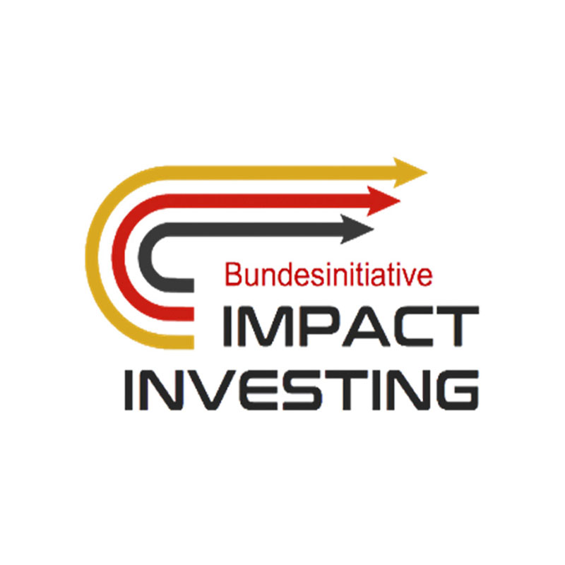 Bundesinitiative Impact Investing