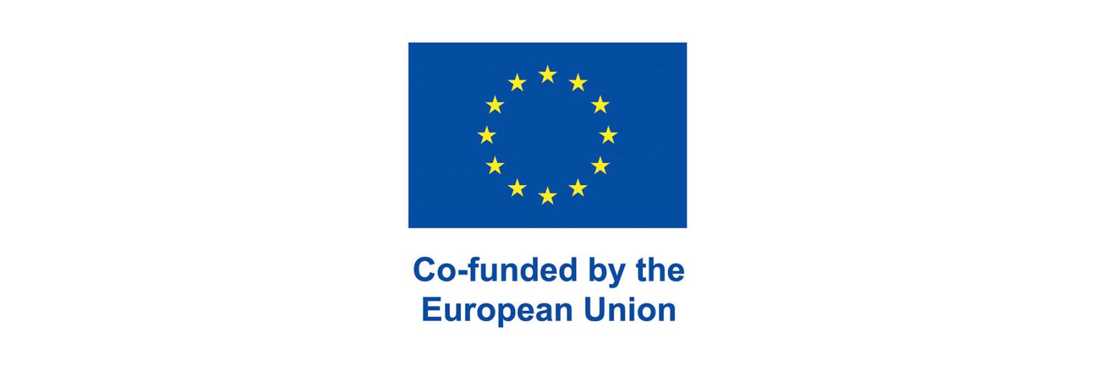 Co-funded by the EU