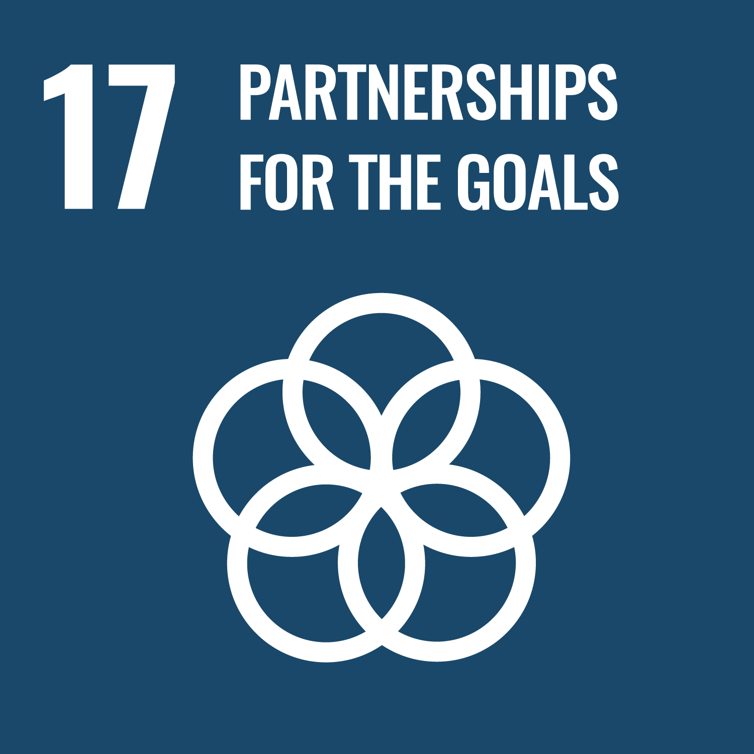 17: Partnerships to achieve the Goal