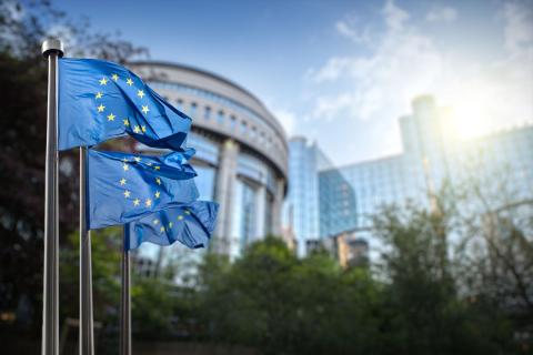 How EuSEF's Recent Reform can Impact the VP/SI Sector