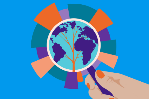 Impact Performance Reporting Norms