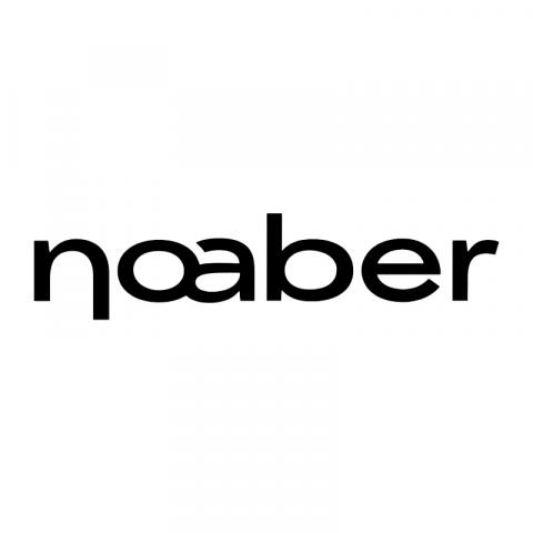 Noaber Foundation