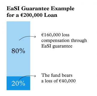EASI guarantee example